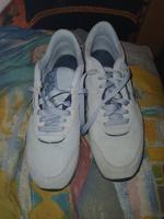 Reebok Schuhe Hellblau Dame 38/39 Sachsen - Bad Gottleuba-Berggießhübel Vorschau