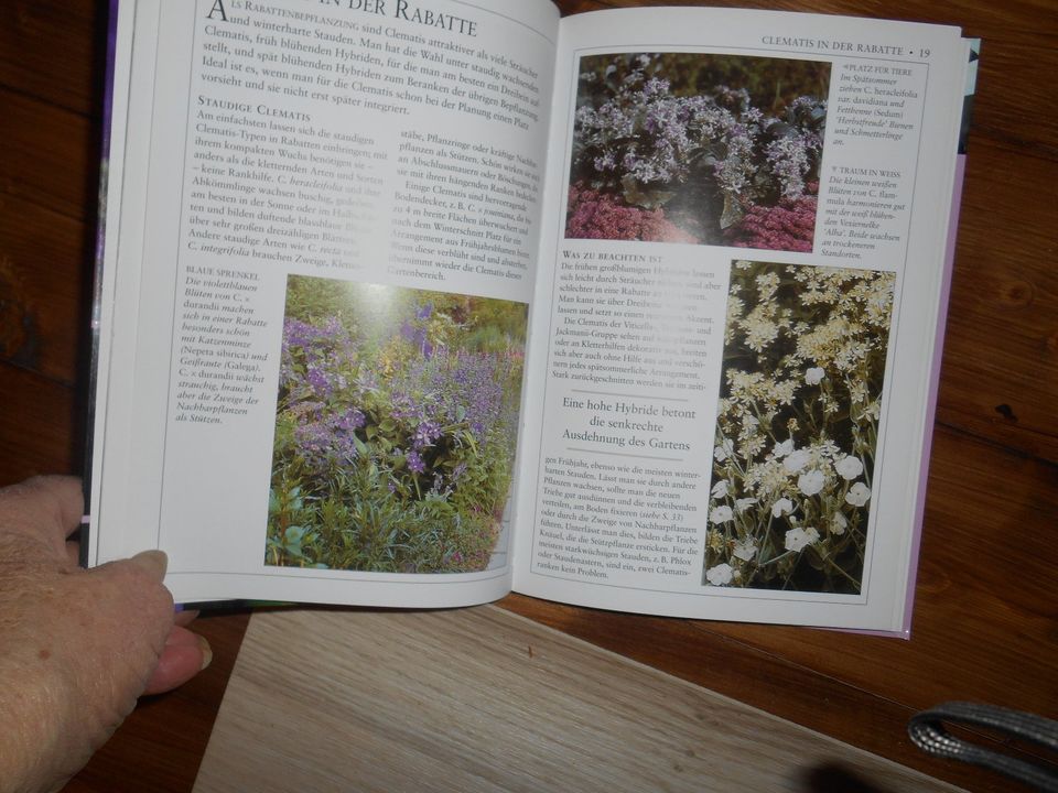 Clematis  Waldrebe Buch  Gartentipps  für  Hobbygärtner in Aschendorf Stadt Papenburg