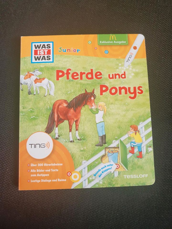 Buch mit Klappen Pferde was ist was ponys in Hallbergmoos