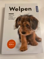 Welpen - halten und erziehen, verstehen und beschäftigen Nordrhein-Westfalen - Alsdorf Vorschau