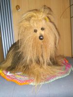 Yorkshire Terrier der Firma Steiff, mit Knopf und Fahne Bergedorf - Hamburg Lohbrügge Vorschau