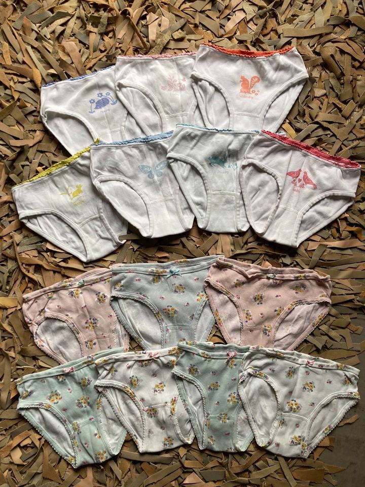 Mini Boden 44€ Slips 7-er Pack Unterhosen Wäsche 5-6 116 in Jockgrim