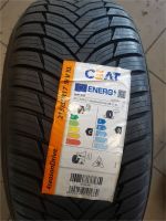 2x CEAT 215/55 R 17 TL 98V  Allwetter NEU    DOT3122 Brandenburg - Jänschwalde Ost Vorschau