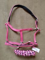 4Horses Halfterset KH Sportsline pink Warmblut Hessen - Biebertal Vorschau