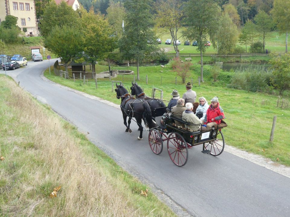 Hochzeitskutsche Kutschfahrt Planwagenfahrt in Großenlüder