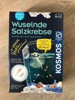 Wuselnde Salzkrebse von Kosmos, Neu Niedersachsen - Buchholz in der Nordheide Vorschau