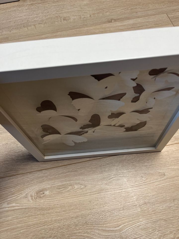 Bild Schmetterlinge Ikea Olunda in Illingen