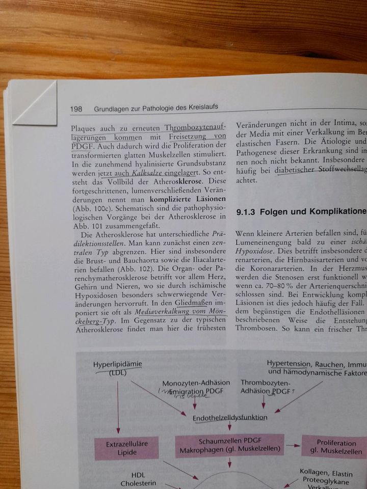 Einführung in die Allgemeine Pathologie von Grundmann 9. Auflage in München