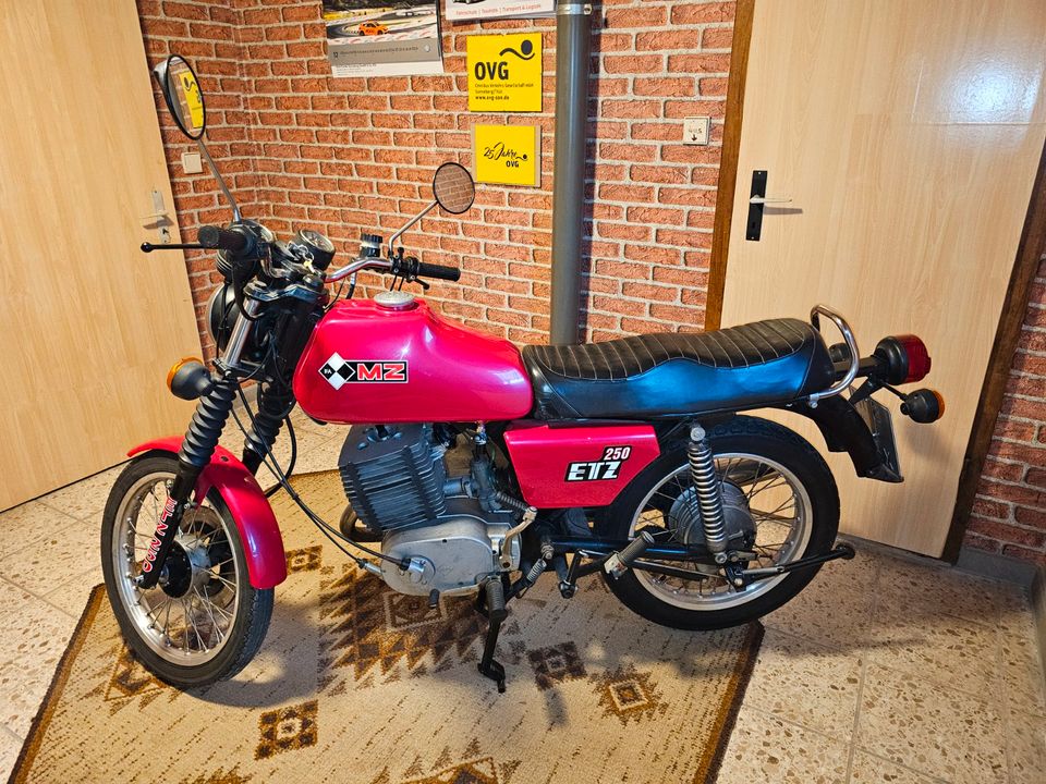 MZ ETZ 250 Motorrad Original IFA DDR Tüv Zubehör Zschopau in Neuhaus