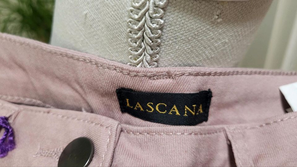 Lascana Damenjeans Gr.36 Rose Röhre Neu in Braunschweig