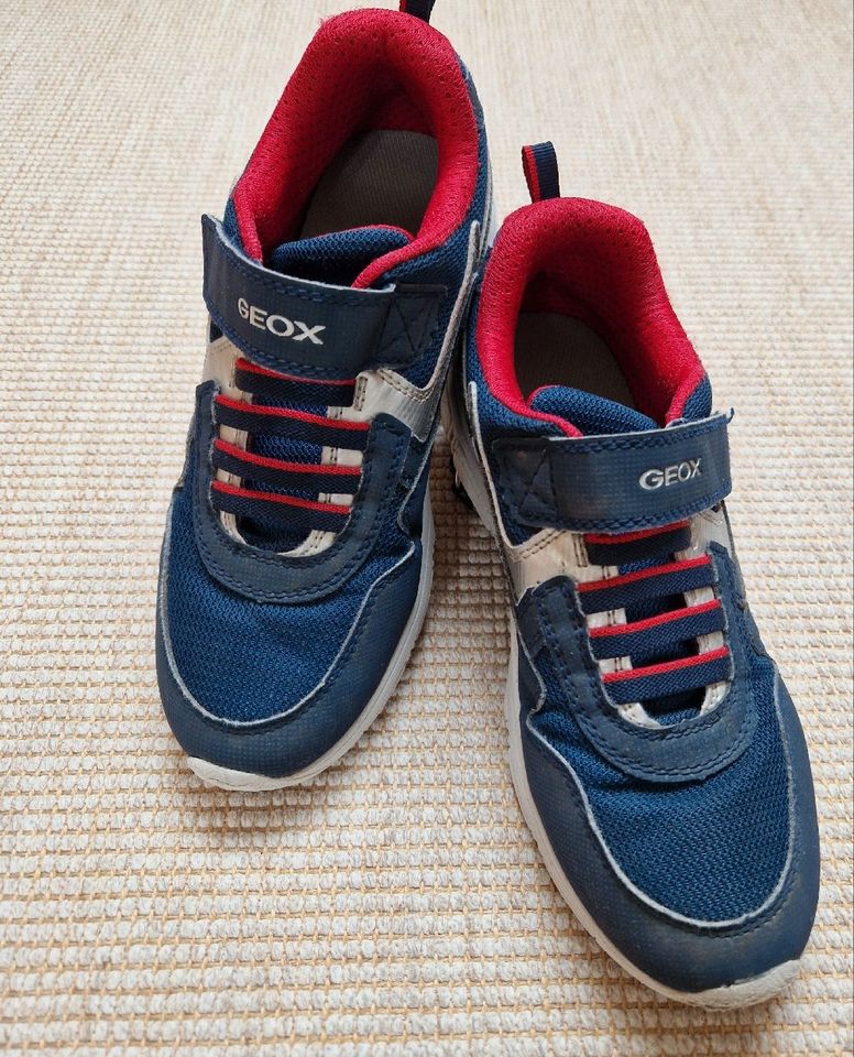Geox  Sneaker "New Torque" Gr. 35 blau-rot in Griesheim