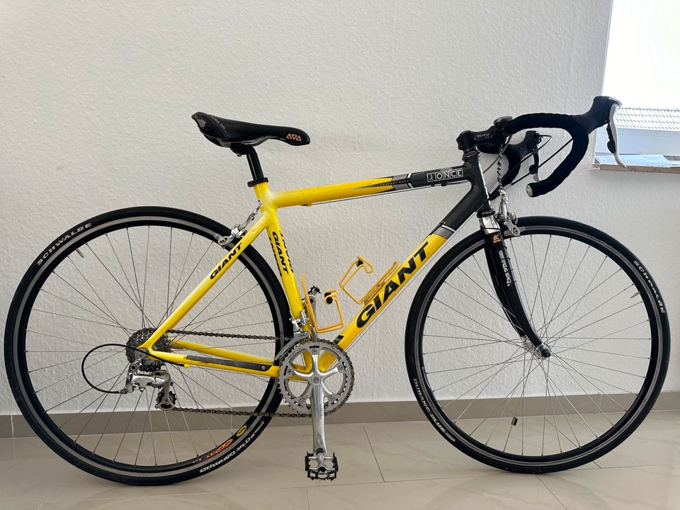 Giant Rennrad 50Cm in Swisttal