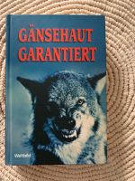 „Gänsehaut garantiert“ - Buch Hessen - Elz Vorschau