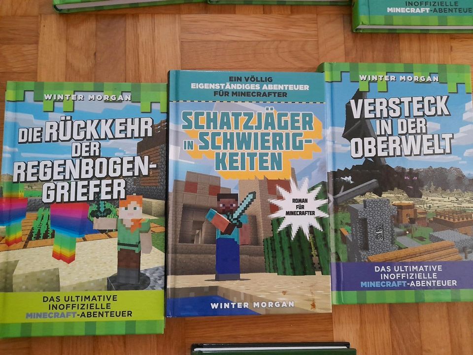 Morgan Winter minecraft romane,olsberg in Hattenhofen