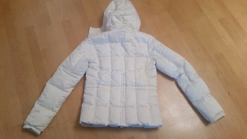 adidas Winterjacke Steppjacke beige Creme Gr.34 in Ebermannstadt