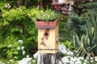 Nistkasten Vogelhaus Nisthilfe Gartendeko Dachbegrünung Bayern - Retzstadt Vorschau