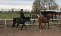 Freie Plätze in der Ponygruppe am Freitag  ab 8 Jahre Brandenburg - Ketzin/Havel Vorschau