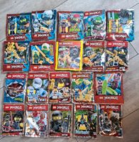 Lego Explorer Jurassic Ninjago Figuren zur Auswahl je 2€ Baden-Württemberg - Haßmersheim Vorschau