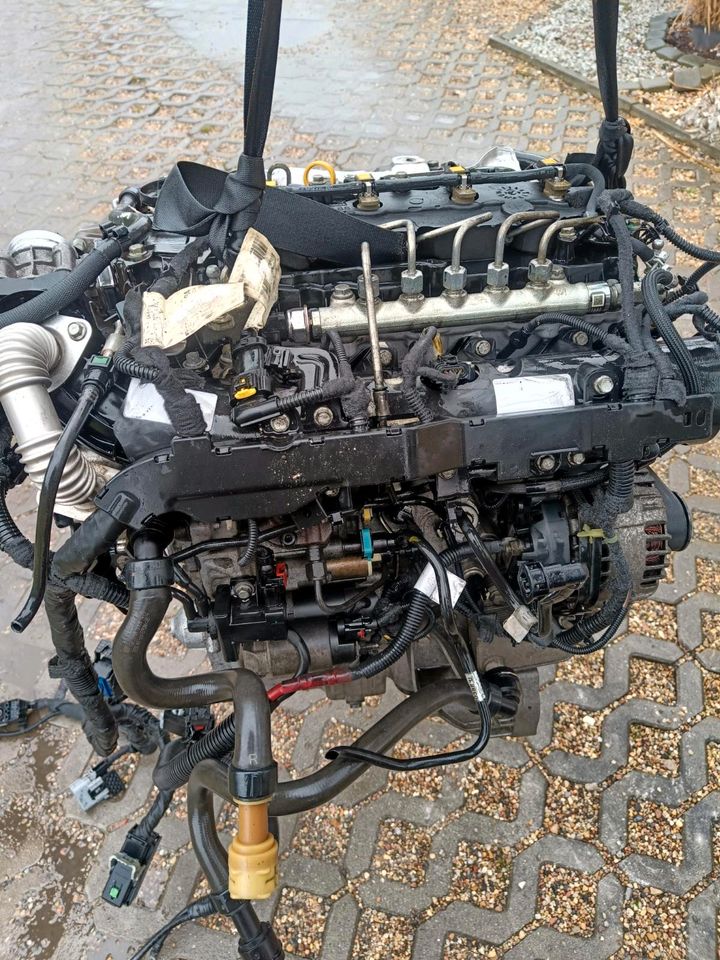 Motor Opel b16dth b16dtl 1.6cdti Insignia Astra Meriva B Komplett in Frankfurt am Main