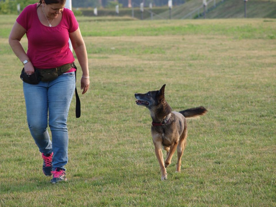 Hundetraining in Duisburg und Umgebung - Erfahrene in Duisburg