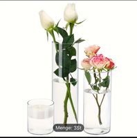 3x Klarglas Glas Zylinder Vase Nordrhein-Westfalen - Halle (Westfalen) Vorschau