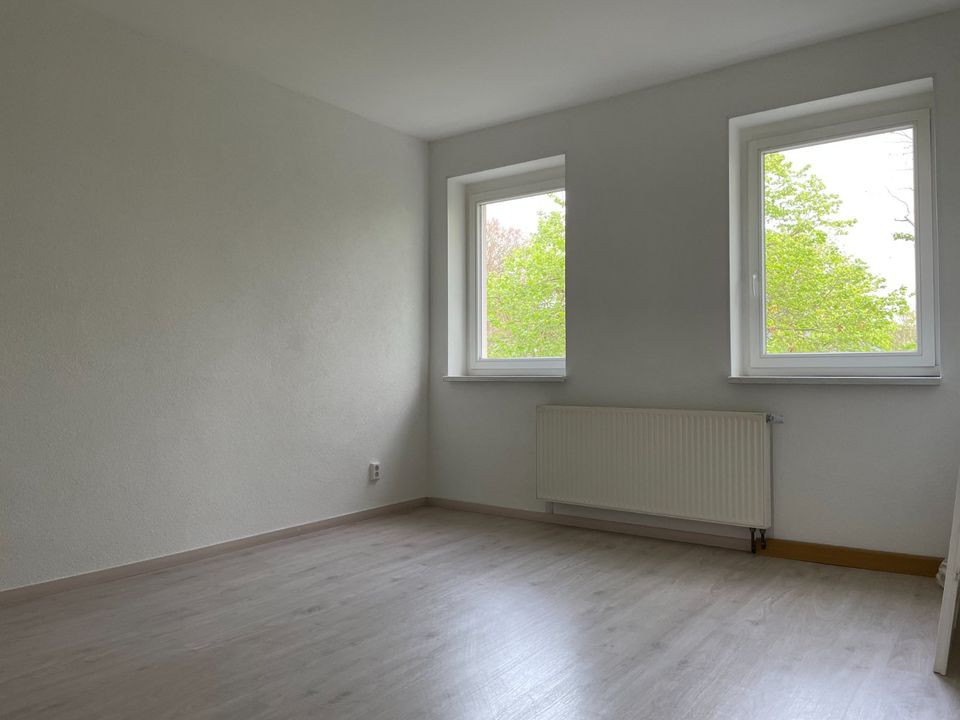 Geräumige 3-Raum Wohnung - Villenviertel am "Wilden Mann" in Dresden