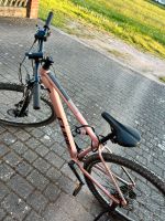 Cube Damen Fahrrad 29 Zoll, wie neu Bayern - Schwandorf Vorschau