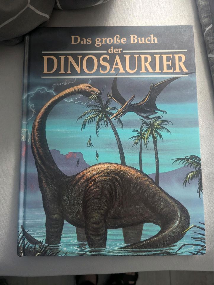 Dinosaurier Buch in Litzendorf