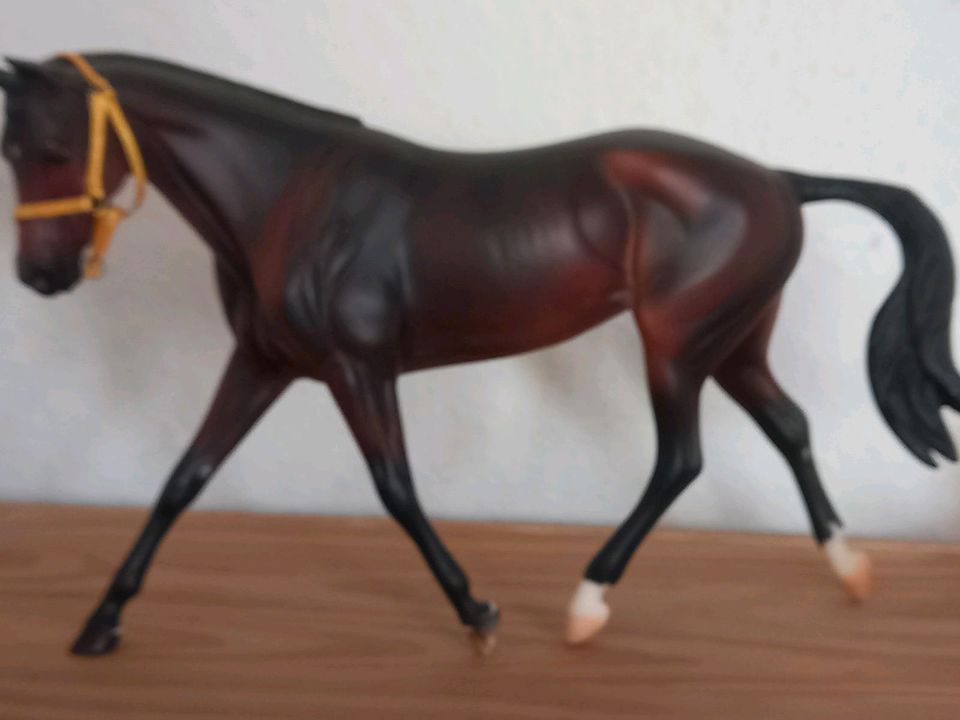 Breyer Horse Modellpferd in Bad Bentheim