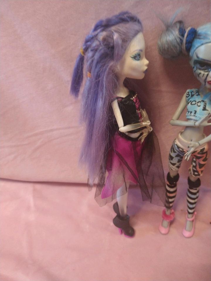 3 Monster High Spectra Gigi 13 Wünsche Frankie Sammlung OAK Doll in Bochum