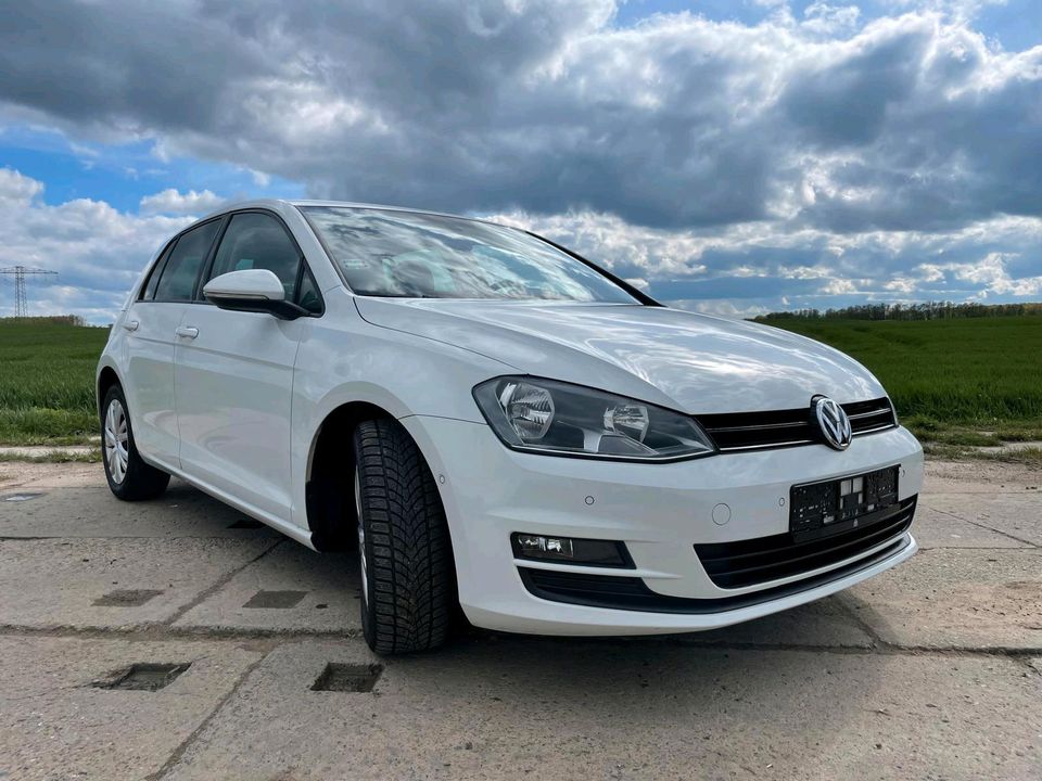 RESERVIERT!!!  VW GOLF 7 1.2 TSI TRENDLINE BLUE MOTION, TÜV 08/25 in Angermünde