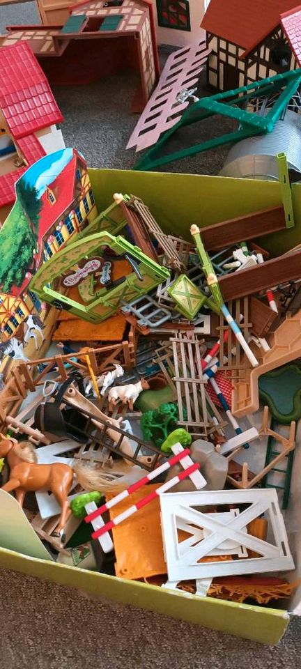 Playmobil und  andere Alles zusammen 20€ in Rheinmünster