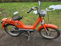 Piaggio Boxer Ciao Si Bravo Moped Mofa Nordrhein-Westfalen - Nettersheim Vorschau