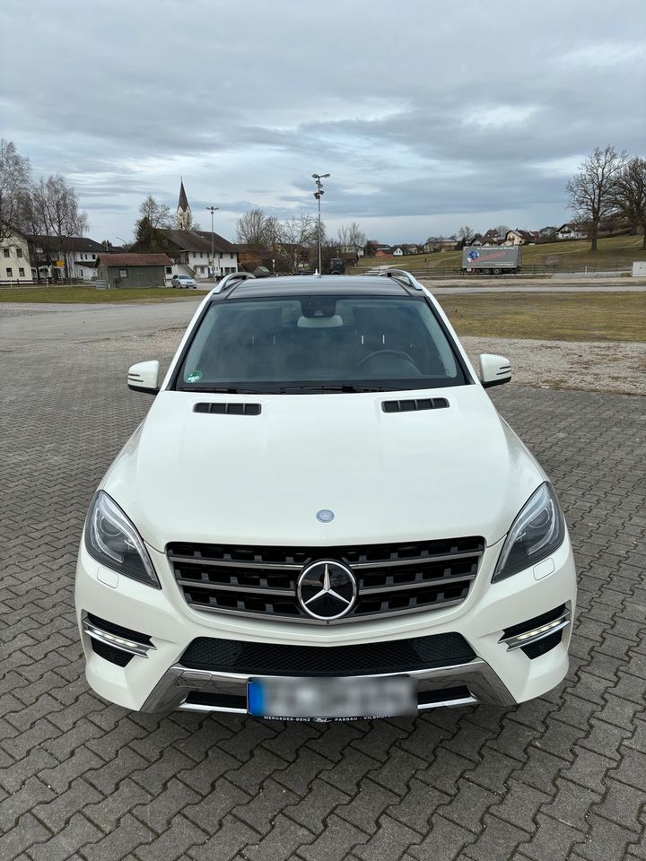 Mercedes M 350 in Bad Griesbach im Rottal