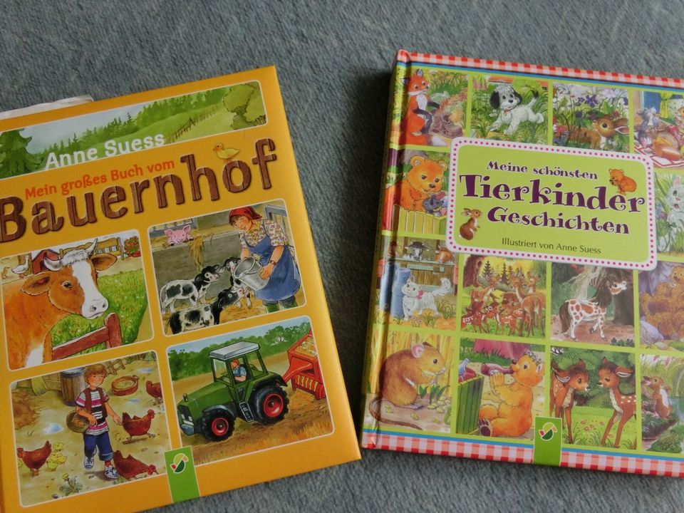 2x Kinder Buch TIERKINDER Geschichten BAUERNHOF ab 3J. Anne Suess in Dettingen an der Iller