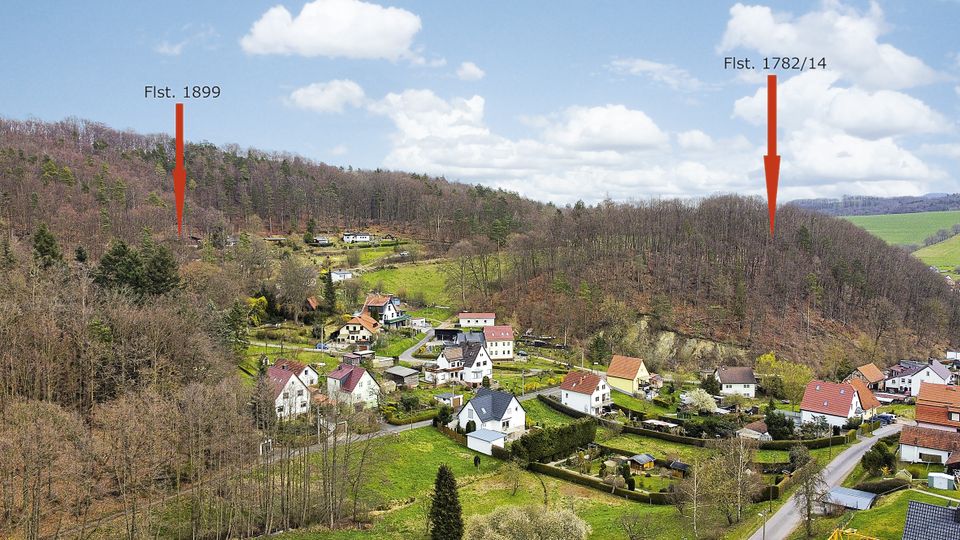 AUKTION: 3,1 ha Waldflächen/Splitterflächen in Wutha-Farnroda