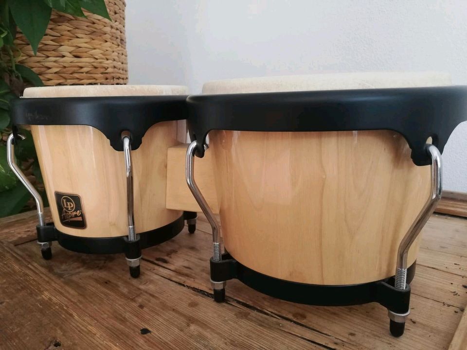 Bongo Trommel LP Aspire in München