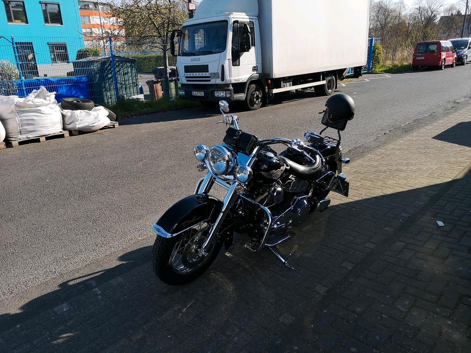 Harley Davidson Softail Deluxe in Köln