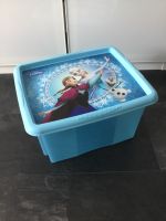 Eiskönigin Aufbewahrung Kiste Box hellblau Hessen - Hünfeld Vorschau