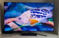 Samsung TV 55“ Zoll 4K QLED (QE55Q7FGMT) Brandenburg - Potsdam Vorschau