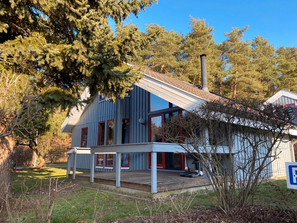 Ferienhaus am See Mecklenburg Seenplatte Sauna Kamin Mirow Hund in Mirow