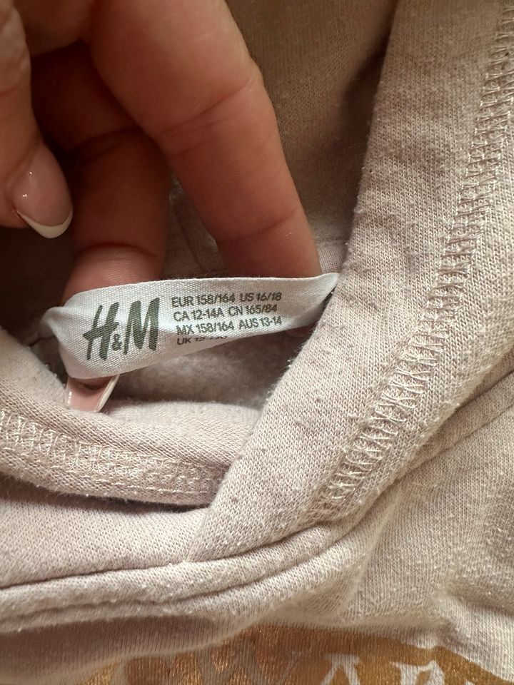 Pullover, Hoodie, H&M, Gr. 158/164 in Großhabersdorf