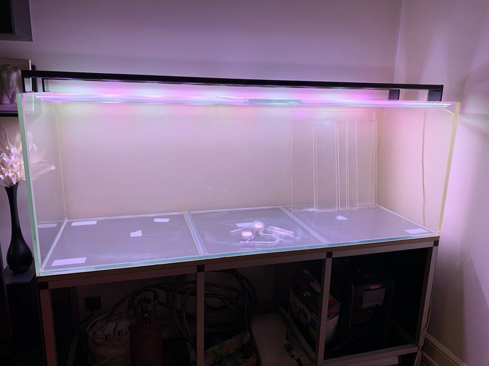 ❌❌ Aquarium Weißglas OptiWhite 700l 180x60x65 cm ❌❌ in Wiesbaden