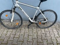 Crossbike 28 Zoll Hessen - Darmstadt Vorschau