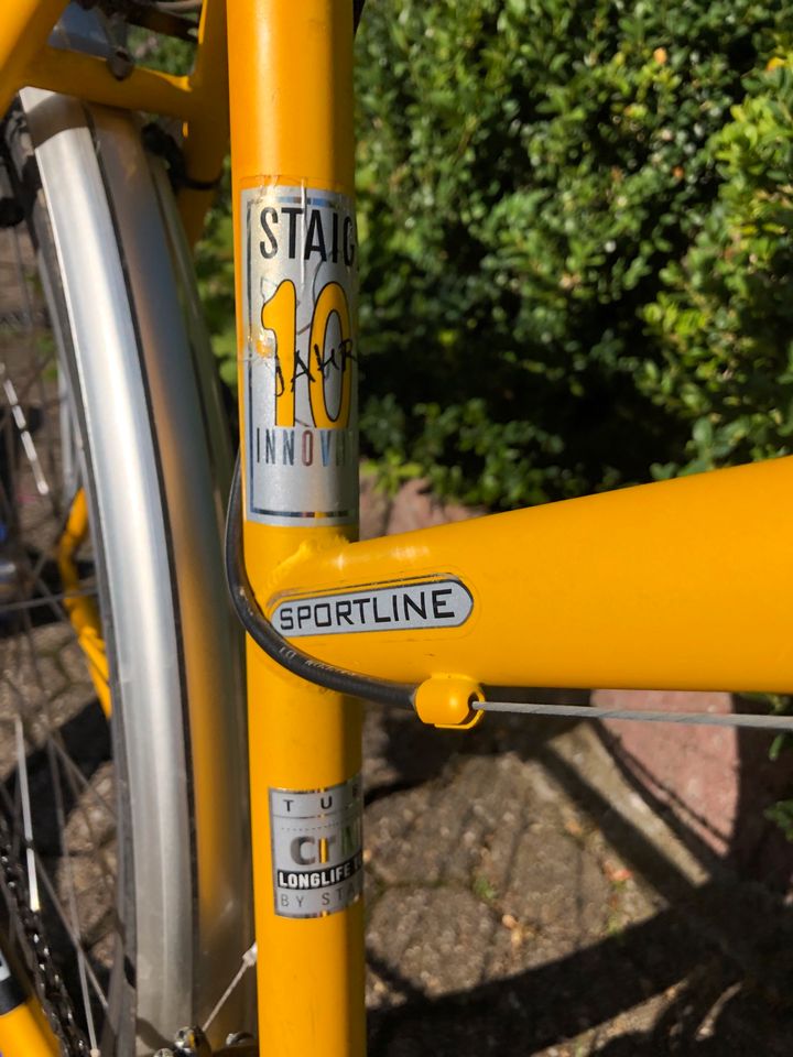 Staiger Florida Sportline Fahrrad in Buch Hunsrück