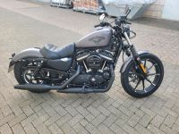 Harley Davidson Iron 883 Bayern - Aschaffenburg Vorschau