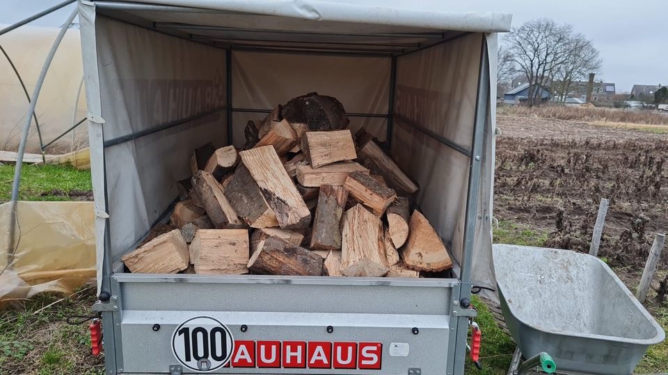 Brennholz, Feuerholz oder Kaminholz in Hamburg