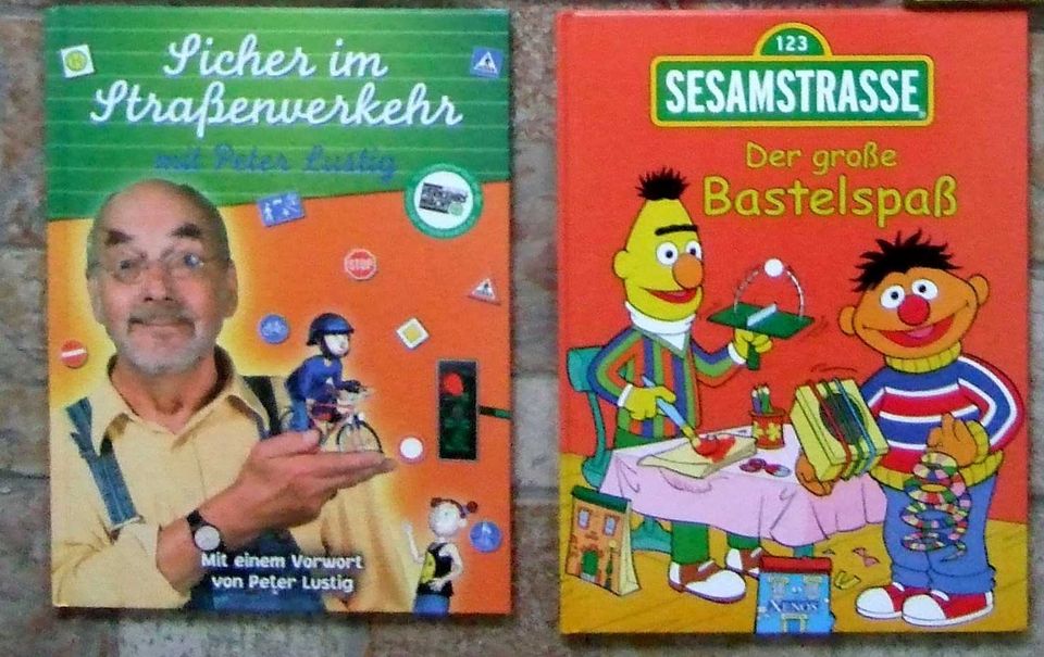 Bücher Kinderbücher Bastelbuch Sesamstraße Bibi Teddy in Dresden