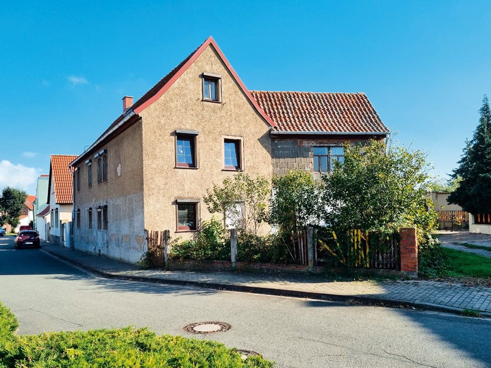 Vermietetes Einfamilienhaus in idyllischer Lage (P23-04-021) in Reinsdorf