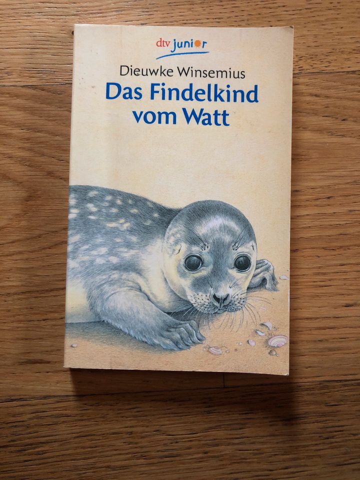 Das Findelkind vom Watt Taschenbuch in Weilheim i.OB